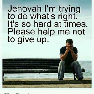 Meet your Posher, Michaels ange